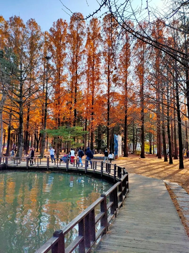 romantisme di nami island