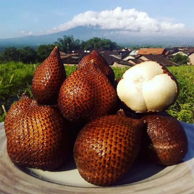 Salak Gula Pasir Oleh Oleh Khas Bali